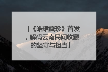 《皓珺藏珍》首发，解码云南民间收藏的坚守与担当