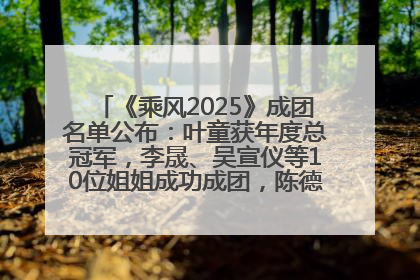《乘风2025》成团名单公布：叶童获年度总冠军，李晟、吴宣仪等10位姐姐成功成团，陈德容获年度高光人物