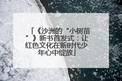 《沙洲的“小树苗”》新书首发式：让红色文化在新时代少年心中绽放