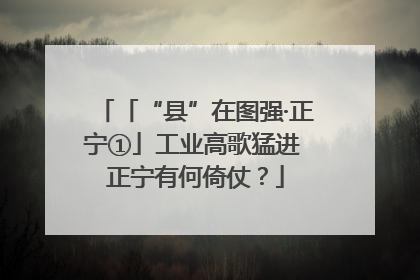 「“县”在图强·正宁①」工业高歌猛进 正宁有何倚仗？