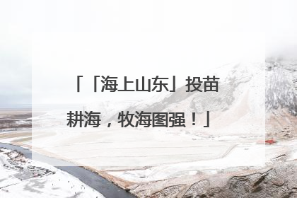 「海上山东」投苗耕海，牧海图强！