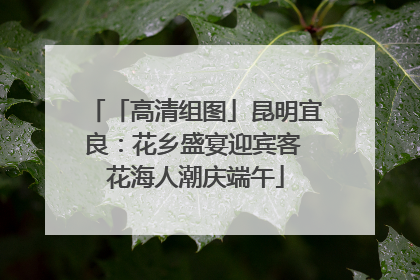 「高清组图」昆明宜良：花乡盛宴迎宾客 花海人潮庆端午