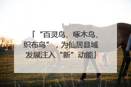 “百灵鸟、啄木鸟、织布鸟”，为仙居县域发展注入“新”动能