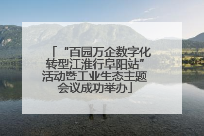 “百园万企数字化转型江淮行阜阳站”活动暨工业生态主题会议成功举办