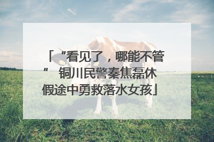 “看见了，哪能不管” 铜川民警秦焦磊休假途中勇救落水女孩
