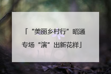 “美丽乡村行”昭通专场“演”出新花样