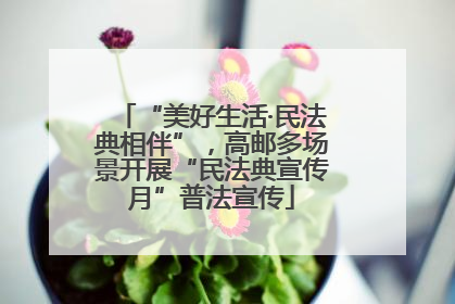 “美好生活·民法典相伴”，高邮多场景开展“民法典宣传月”普法宣传