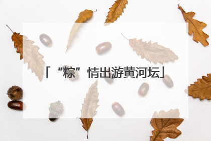 “粽”情出游黄河坛