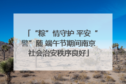 “粽”情守护 平安“警”随 端午节期间南京社会治安秩序良好