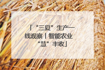 “三夏”生产一线观察丨智能农业“慧”丰收