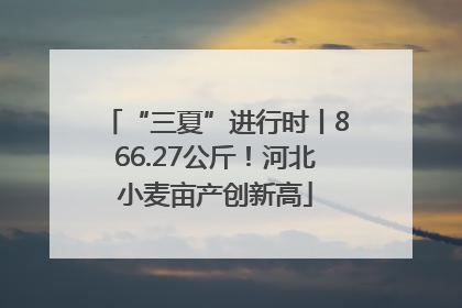 “三夏”进行时丨866.27公斤！河北小麦亩产创新高