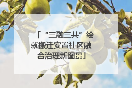 “三融三共”绘就搬迁安置社区融合治理新图景