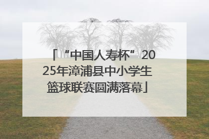 “中国人寿杯”2025年漳浦县中小学生篮球联赛圆满落幕
