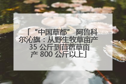 “中国草都” 阿鲁科尔沁旗：从野生牧草亩产 35 公斤到苜蓿草亩产 800 公斤以上