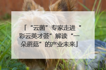 “云菌”专家走进“彩云英才荟”解读“一朵蘑菇”的产业未来