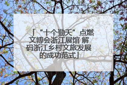 “十个勤天”点燃文博会浙江展馆 解码浙江乡村文旅发展的成功范式