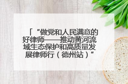 “做党和人民满意的好律师——推动黄河流域生态保护和高质量发展律师行（德州站）”活动成功举办