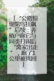 “公路惊现鸵鸟狂飙”后续：养殖户称它与同类打闹后“离家出走”，跑了1公里被找回