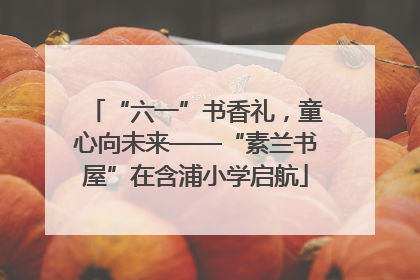 “六一”书香礼，童心向未来——“素兰书屋”在含浦小学启航