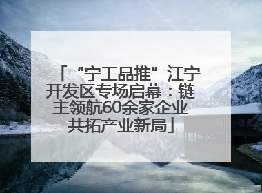 “宁工品推”江宁开发区专场启幕：链主领航60余家企业共拓产业新局