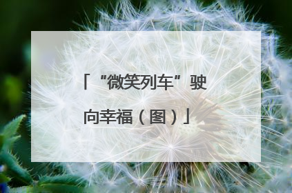 “微笑列车”驶向幸福（图）
