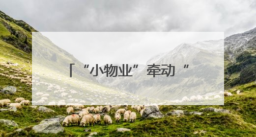 “小物业”牵动“大民生”！舞钢市基层治理显成效