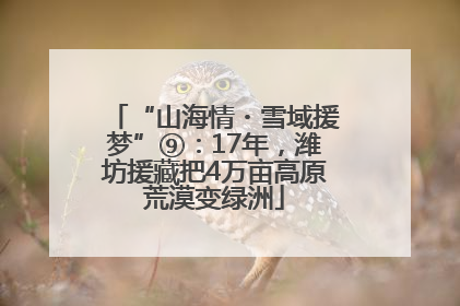 “山海情・雪域援梦”⑨：17年，潍坊援藏把4万亩高原荒漠变绿洲