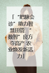 “把脉会诊”助力智慧田管 “数智”良方夺高产 农业焕发新活力