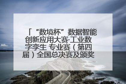 “数境杯”数据智能创新应用大赛·工业数字孪生 专业赛（第四届）全国总决赛及颁奖典礼成功举办
