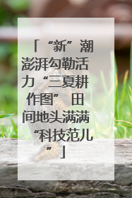 “新”潮澎湃勾勒活力“三夏耕作图” 田间地头满满“科技范儿”