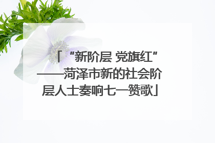 “新阶层 党旗红”——菏泽市新的社会阶层人士奏响七一赞歌