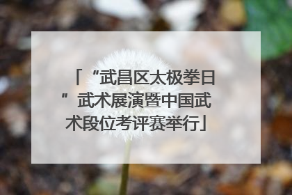 “武昌区太极拳日”武术展演暨中国武术段位考评赛举行