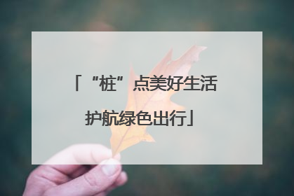 “桩”点美好生活 护航绿色出行