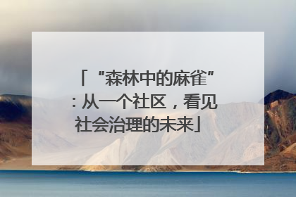 “森林中的麻雀”：从一个社区，看见社会治理的未来