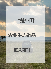 “楚小田”农业生态链品牌发布