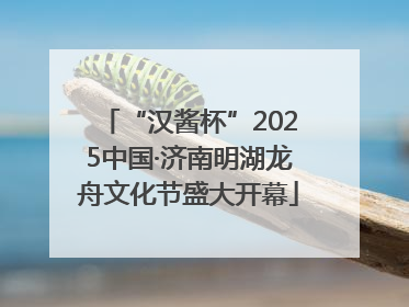 “汉酱杯”2025中国·济南明湖龙舟文化节盛大开幕