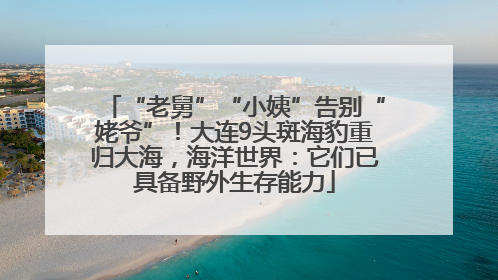 “老舅”“小姨”告别“姥爷”！大连9头斑海豹重归大海，海洋世界：它们已具备野外生存能力