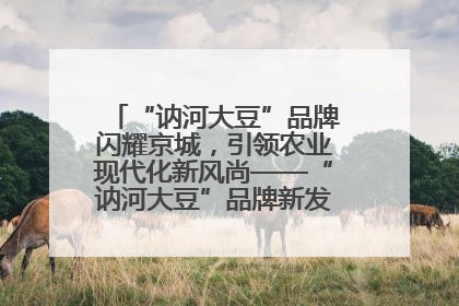 “讷河大豆”品牌闪耀京城，引领农业现代化新风尚——“讷河大豆”品牌新发地推介会圆满落幕