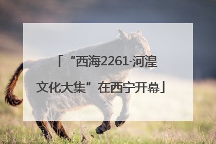 “西海2261·河湟文化大集”在西宁开幕