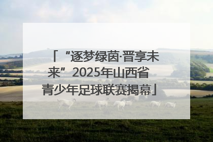 “逐梦绿茵·晋享未来”2025年山西省青少年足球联赛揭幕