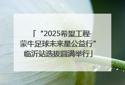 “2025希望工程·蒙牛足球未来星公益行”临沂站选拔圆满举行