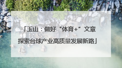 玉山：做好“体育+”文章 探索台球产业高质量发展新路