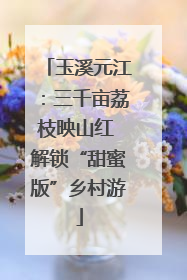 玉溪元江：三千亩荔枝映山红 解锁“甜蜜版”乡村游