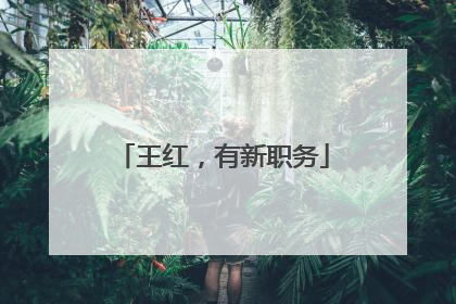 王红，有新职务