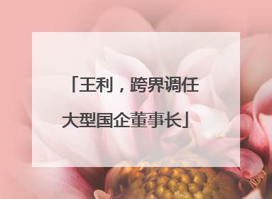王利，跨界调任大型国企董事长
