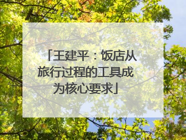 王建平：饭店从旅行过程的工具成为核心要求