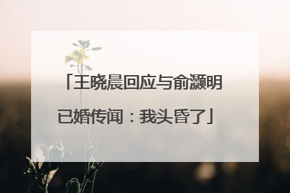 王晓晨回应与俞灏明已婚传闻：我头昏了