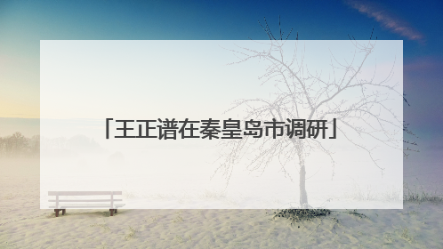 王正谱在秦皇岛市调研