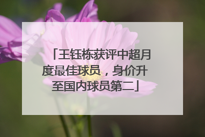 王钰栋获评中超月度最佳球员，身价升至国内球员第二