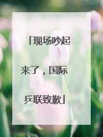 现场吵起来了，国际乒联致歉